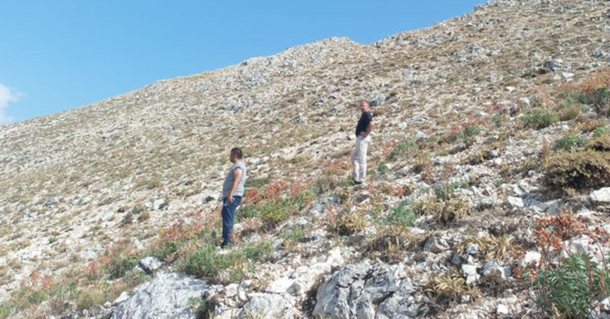 Yıldırım, yaylada can aldı!