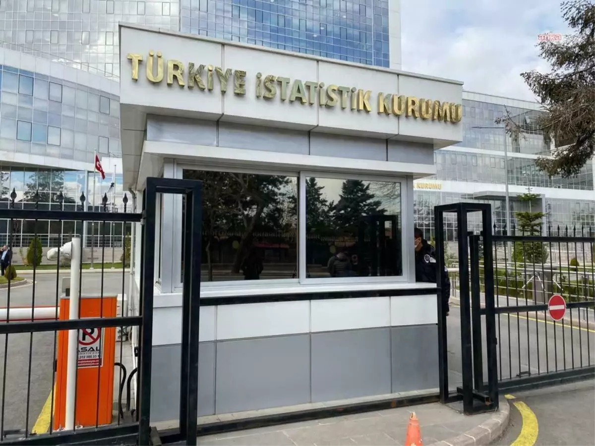 TÜİK’e göre müze sayısı arttı, özel müzelerdeki eser sayısı düştü