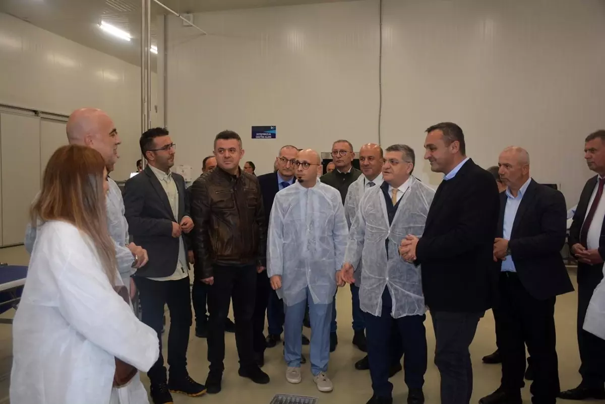 Sinop’ta Su Ürünleri İşleme Tesisi Tanıtıldı