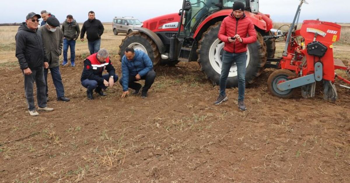 Süloğlu ilçesinin Yağcılı köyünde suni mera oluşturuldu