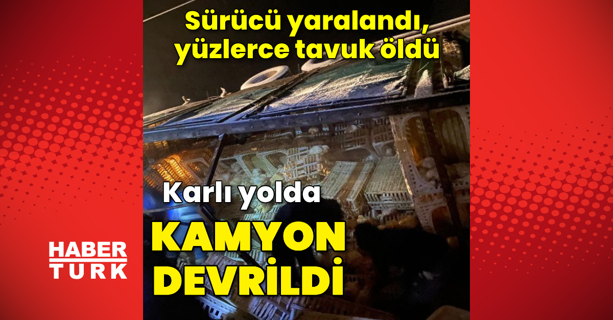 Bolu’da kamyon devrildi, yüzlerce tavuk öldü